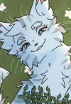 Benutzeravatar